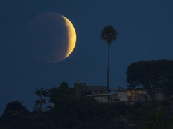 Kepala LAPAN: Gerhana Bulan Pukulan Telak Dongeng Bumi Datar