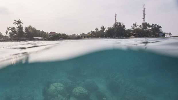 Suasana bawah laut di Pulau Pramuka di Kepulauan Seribu, Minggu (27/9). Kepulauan Seribu selain memiliki potensi untuk dijadikan wisata bahari juga kerap dijadikan lokasi dilakukannya penelitian biota laut. ANTARA FOTO/Rosa Panggabean/pd/15.