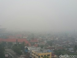 BNPB Harus Lakukan Terobosan, Tetapkan Kabut Asap Sebagai Bencana Nasional