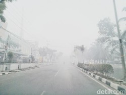 Pimpinan DPR: Jangan Malu Tetapkan Kebakaran Hutan Jadi Bencana Nasional