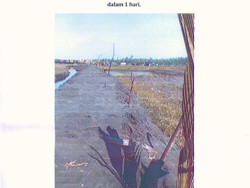 Keji! Begini Kronologi Pembunuhan Aktivis Anti Tambang di Lumajang