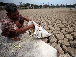 El Nino, Bocah Lelaki yang Membuat Sumur Kita Kerontang
