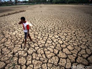 Perubahan Iklim Pengaruhi Kesehatan Jantung, Paru-paru Hingga Otak