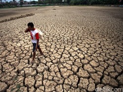 Perubahan Iklim Pengaruhi Kesehatan Jantung, Paru-paru Hingga Otak