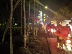 Pengusiran PKL dengan Siasat Pohon di Lenteng Agung, Ahok: Mau Kita Pindahin