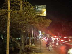 Kisah di Balik Strategi Menanam Pohon Usir PKL Soto Ayam Cs di Lenteng Agung