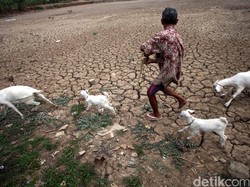 Wonogiri Perpanjang Masa Darurat Kekeringan