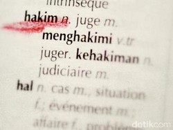 Salah Sita Truk Ayam di Kasus Tabrak Lari, Negara Dihukum Rp 30 Juta