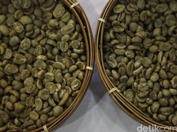 Kenapa Kopi RI Kalah Tenar Dibanding Produk Vietnam dan Brasil?