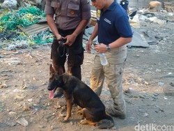 Polisi Sisir Orang yang Dekat dengan Bocah Tewas dalam Kardus