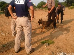 Polda Metro Kerahkan Anjing Pelacak untuk Endus Jejak Pelaku
