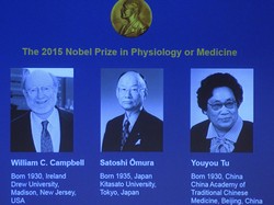 Teliti Cacing dan Malaria, 3 Ilmuwan Raih Nobel Kedokteran 2015