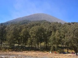Hutan di Gunung Semeru Terbakar, 30 Pendaki Dievakuasi