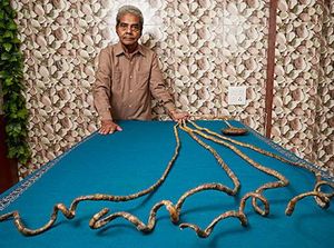 Bayangkan! Pria Ini Pensiun Punya Kuku Terpanjang di Dunia