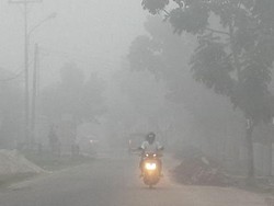 Anggota DPR: Asap Pekat Selimuti Riau, No Oxygen!