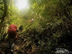 Tentang Latimojong, Gunung Tertinggi di Sulsel Lokasi Aviastar Jatuh