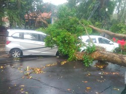 Bandung Hujan Badai, Ini Penampakan 6 Mobil Tertimpa Pohon di Depan Kampus ITB