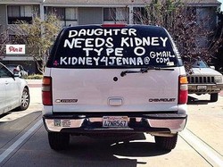 Cari Donor Ginjal untuk Putrinya, Ibu Ini Tulis Pesan di Mobil