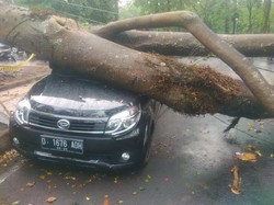 Begini Detik-detik Mencekam Saat Pohon Timpa 6 Mobil di Depan ITB