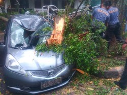 Tangis dan Sedih Mahasiswi Pemilik Mobil yang Tertimpa Pohon di Depan ITB