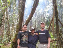 LIPI akan Eksplorasi Kekayaan Hayati Gunung Gandang Dewata