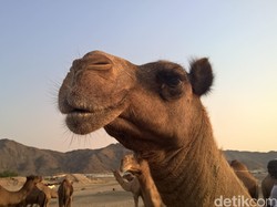 Kasus MERS di Thailand, 32 Orang Dikarantina