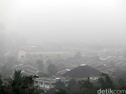 Tanggulangi Kabut Asap, Pemerintah Harus Bentuk TRC Kebakaran Hutan