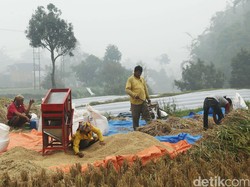 Ingin Hasil Panen Laris? Petani Harus Melek Jual-Beli Online