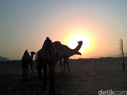 2.800 Calon Jamaah Umrah Asal Jatim Gagal Berangkat ke Tanah Suci