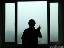 Kemen LHK: 4 Perusahaan Dicabut Izin dan Dibekukan, 30 Perusahaan Diawasi