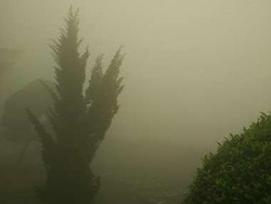 Pekanbaru Cerah, Tapi OKI dan Simalungun Masih Diselimuti Asap Tebal