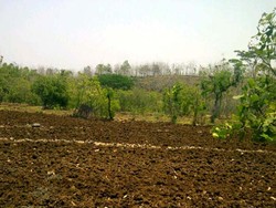 Ada Warga Percaya Api Misterius di Gunungkidul Berasal dari Luweng Cabe