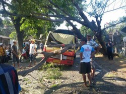 Sebuah Truk Tertimpa Pohon Tumbang, Sopir Tergencet