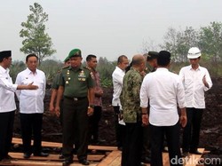 Menteri LHK: 1,7 Juta Hektare Hutan dan Lahan Indonesia Terbakar