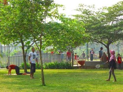 Menanti Tabebuya di Cikini, Yuk Main ke Tamannya di Jagakarsa