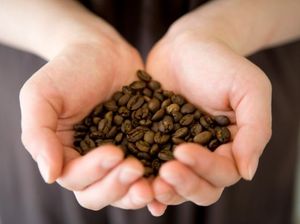 Kopi: Dulu Bawa Derita, Kini Ajang Pamer Eksistensi Kopi: Dulu Bawa Derita, Kini Ajang Pamer Eksistensi