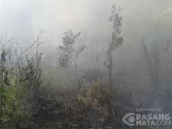 Lahan di Belakang Kampus Haluoleo Terbakar, Aktivitas Belajar Terganggu Asap