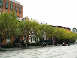 Berkunjung ke AS, Presiden Jokowi akan Menginap di Blair House