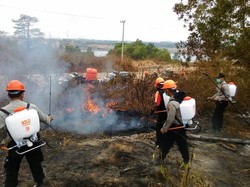 Semangat Pak! Begini Aksi Polisi di Tanah Bambu Kalsel Padamkan Kebakaran Hutan
