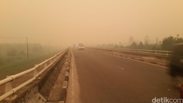 Foto: Gelapnya Asap Sambut Kunjungan Menkes di Palangkaraya