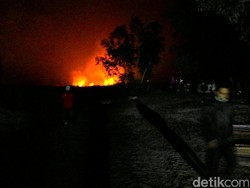 Penjabat Gubernur Kalteng Akan Revisi Pergub Izin Bakar Hutan