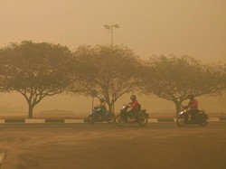 Penjabat Gubernur Kalteng soal Parahnya Asap: Sebaiknya Warga di Rumah