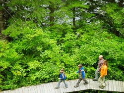Sekeluarga Tewas Saat Trekking, Diduga karena Keracunan