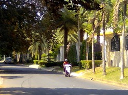 Senyap, Aksi Pencuri Patung Sapi Emas di Pondok Indah Tak Diketahui Satpam