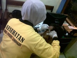 Bonek Vs Warga Lamongan Saling Lempar Batu, Tiga Orang Luka