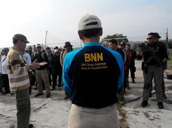 Cerita tentang Alasan Petani di Aceh yang Tanam Ganja di Kebunnya