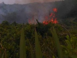 Malaysia: Kebakaran Hutan di Indonesia Tak Akan Padam Tanpa Hujan