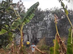 Lahan Kosong Tak Jauh dari Polsek Beji Terbakar, 2 Mobil Ikut Dilalap Api