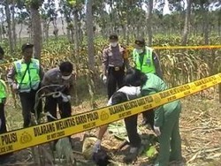 Sesosok Mayat Ditutup Daun Pisang Ditemukan di Tengah Hutan