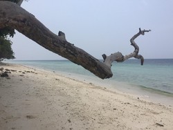 Ambon Sambut Konsep Go Maritime, Go East